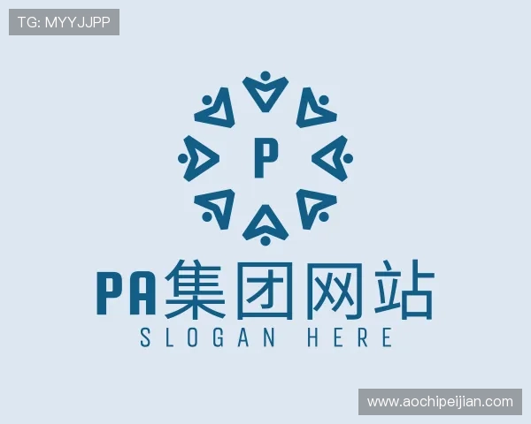 解读PA集团